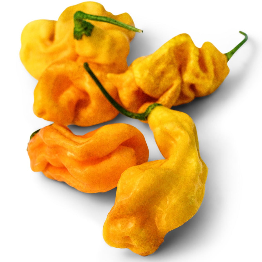 Goronong Hot Peppers on a white background.