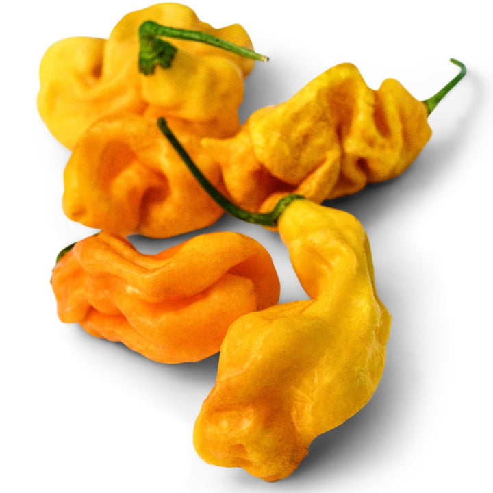 Goronong Hot Peppers on a white background.