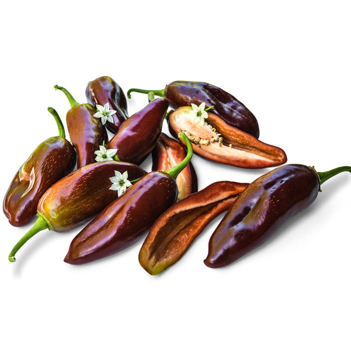 Jalapeno Brown Hot Peppers on a white background.