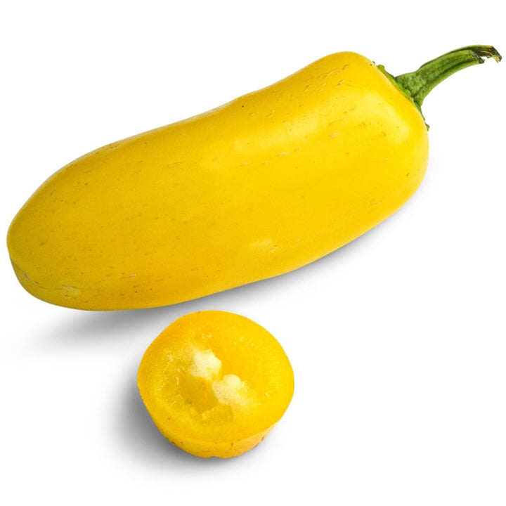 Lemon Spice Jalapeno Hot Pepper on a white background.