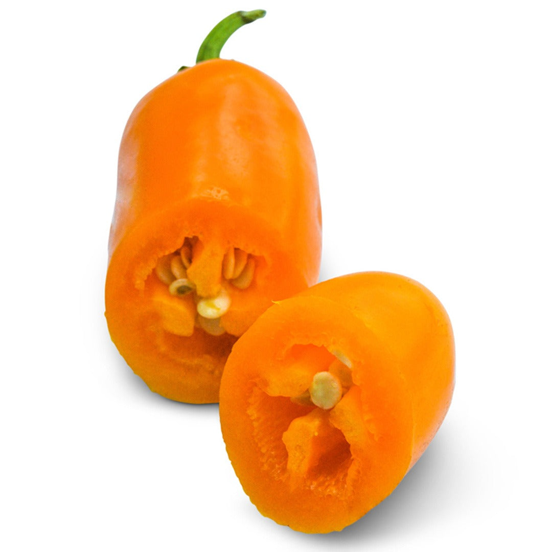 A single Pumpkin Spice Jalapeno Hot Pepper cut in half to show the inside on a white background.