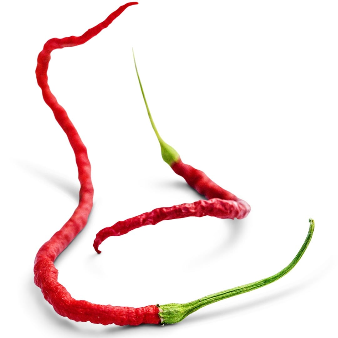 Pair of Kaddi Mirchi Hot Peppers on a white background.