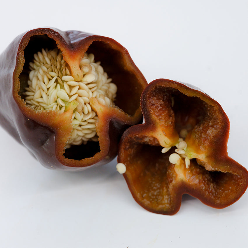 Poblano Pepper sliced open exposing seeds and ribs.