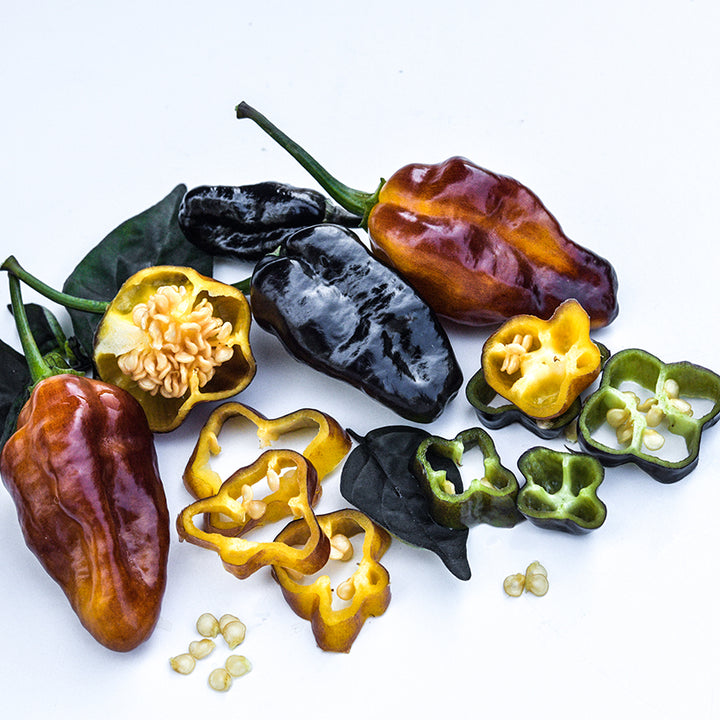 Puma Peppers with slices and seeds on white background.