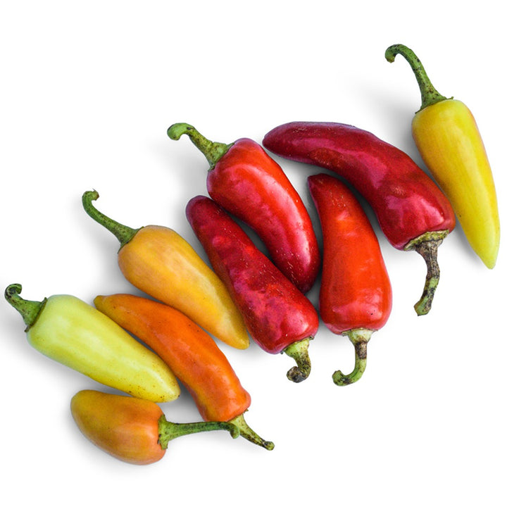 Hot Pepper Seeds, Santa Fe Grande