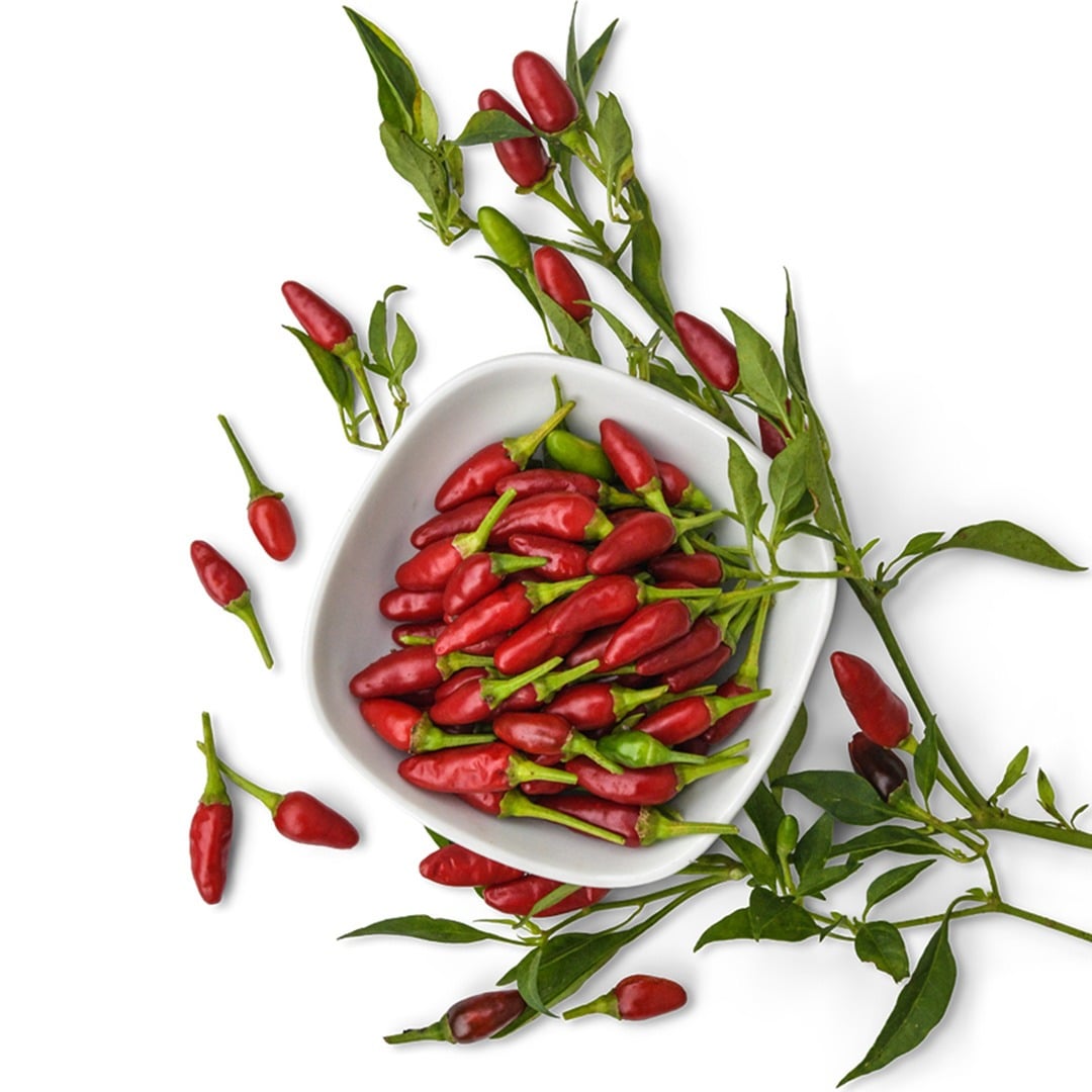 Thai Red Chili Hot Peppers in a white dish on a white background.
