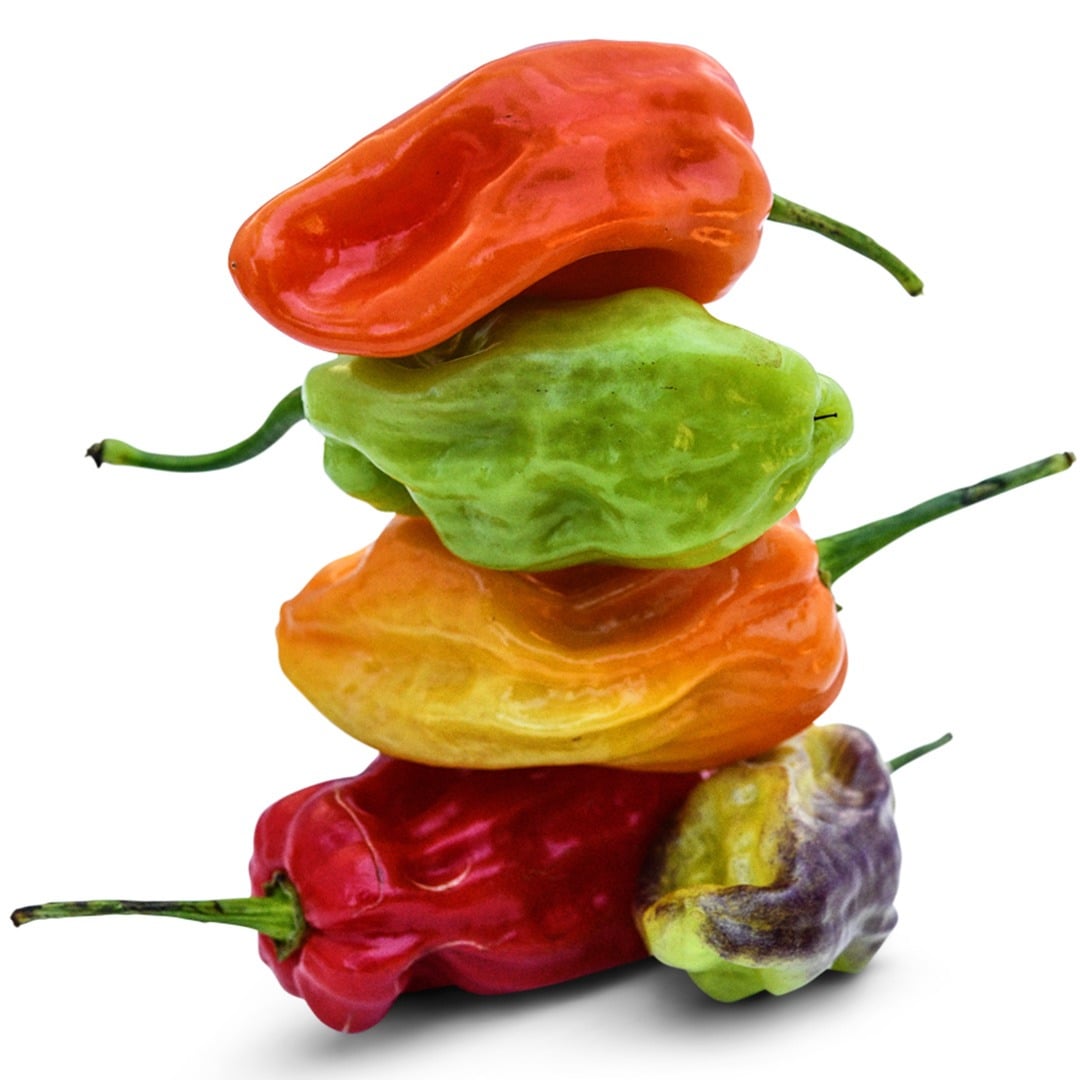 Tobago Seasoning Hot Peppers stacked on a white background.