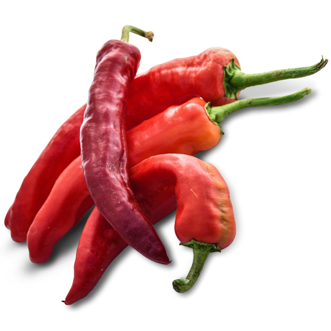 Tunisian Baklouti Hot Peppers on a white background.