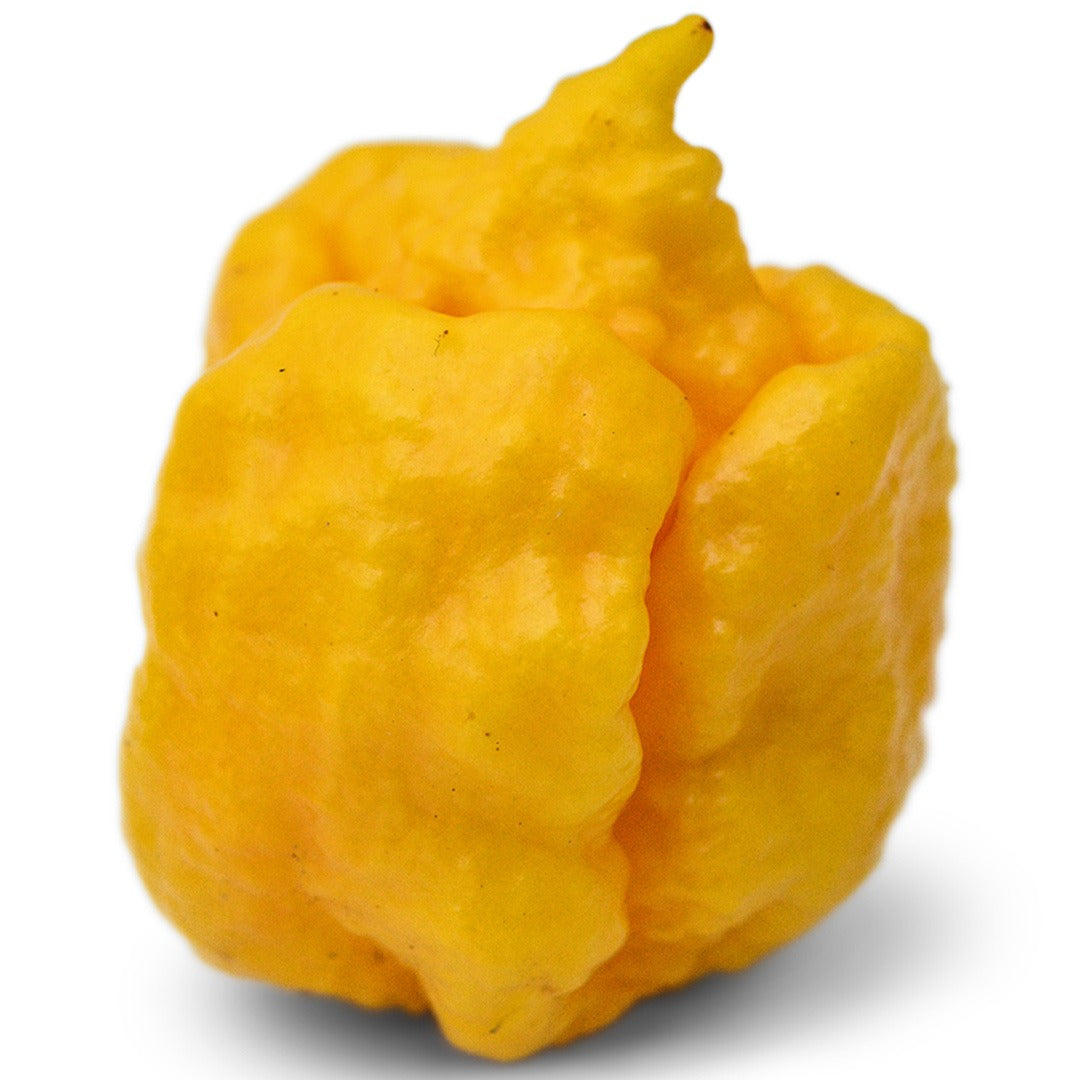 Yellow Seven Pot Hot Pepper on a white background.
