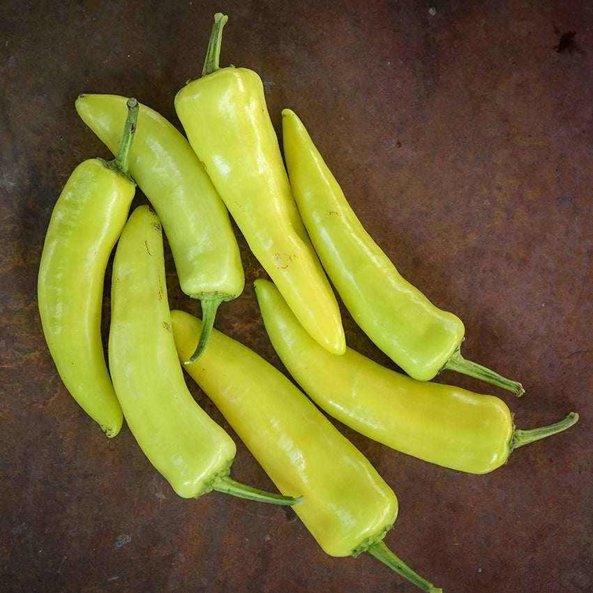 Hungarian Hot Wax Peppers on countertop.