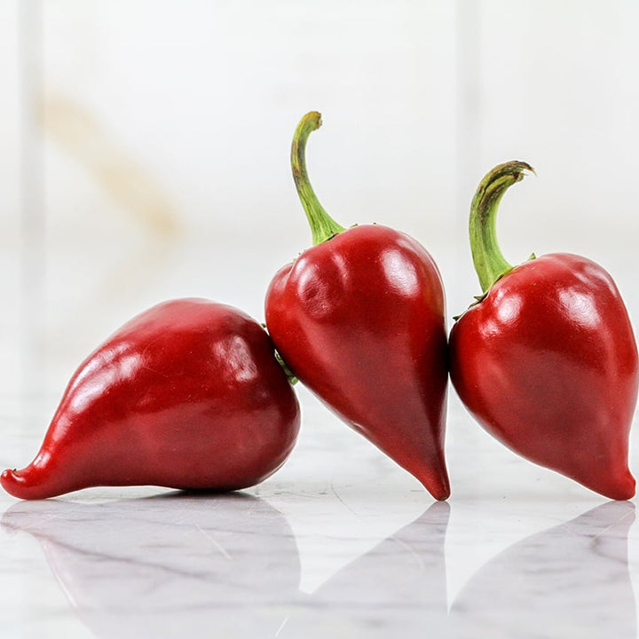 Kalugeritsa Roasting Peppers