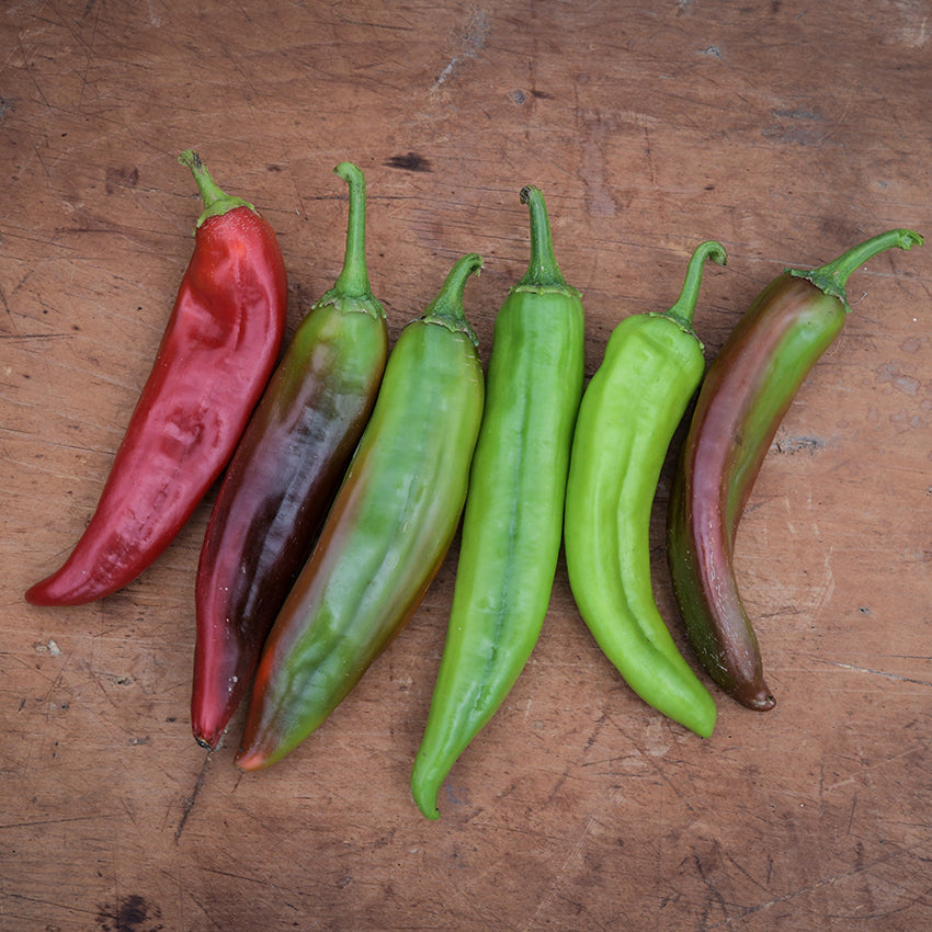Big Jim Peppers in varying shades on wooden countertop.