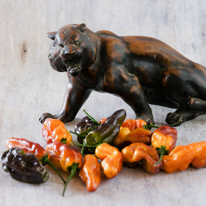 Puma Peppers with cat statue