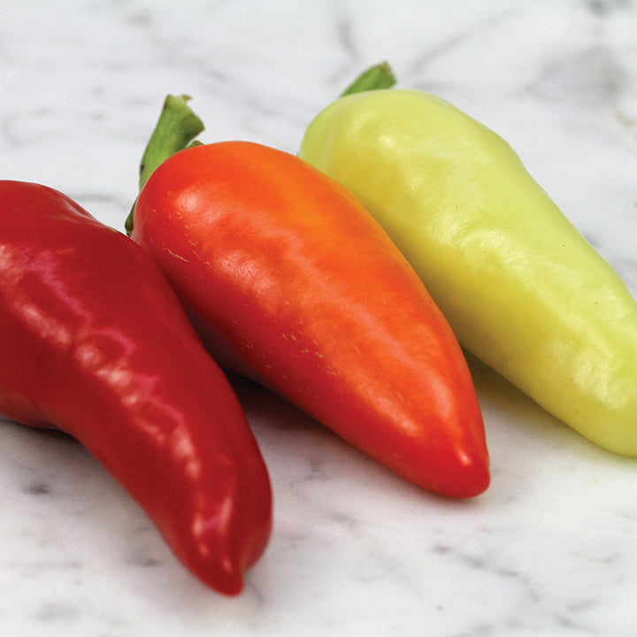Santa Fe Grande Peppers on marble background.