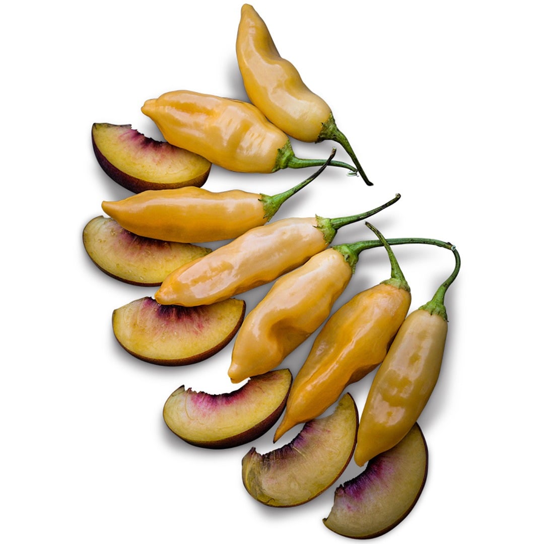 Sugar Rush Peach Peppers with peach slices on a white background.