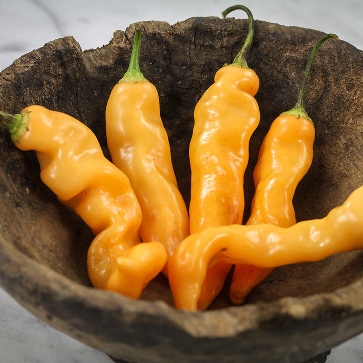 Sugar Rush Peach Peppers in vintage wooden bowl.