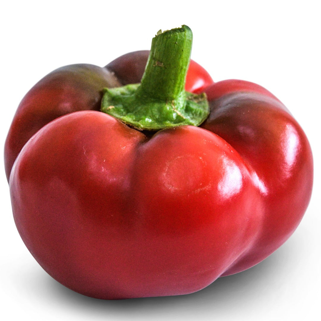 Ashe County Pimento Sweet Pepper on a white background.