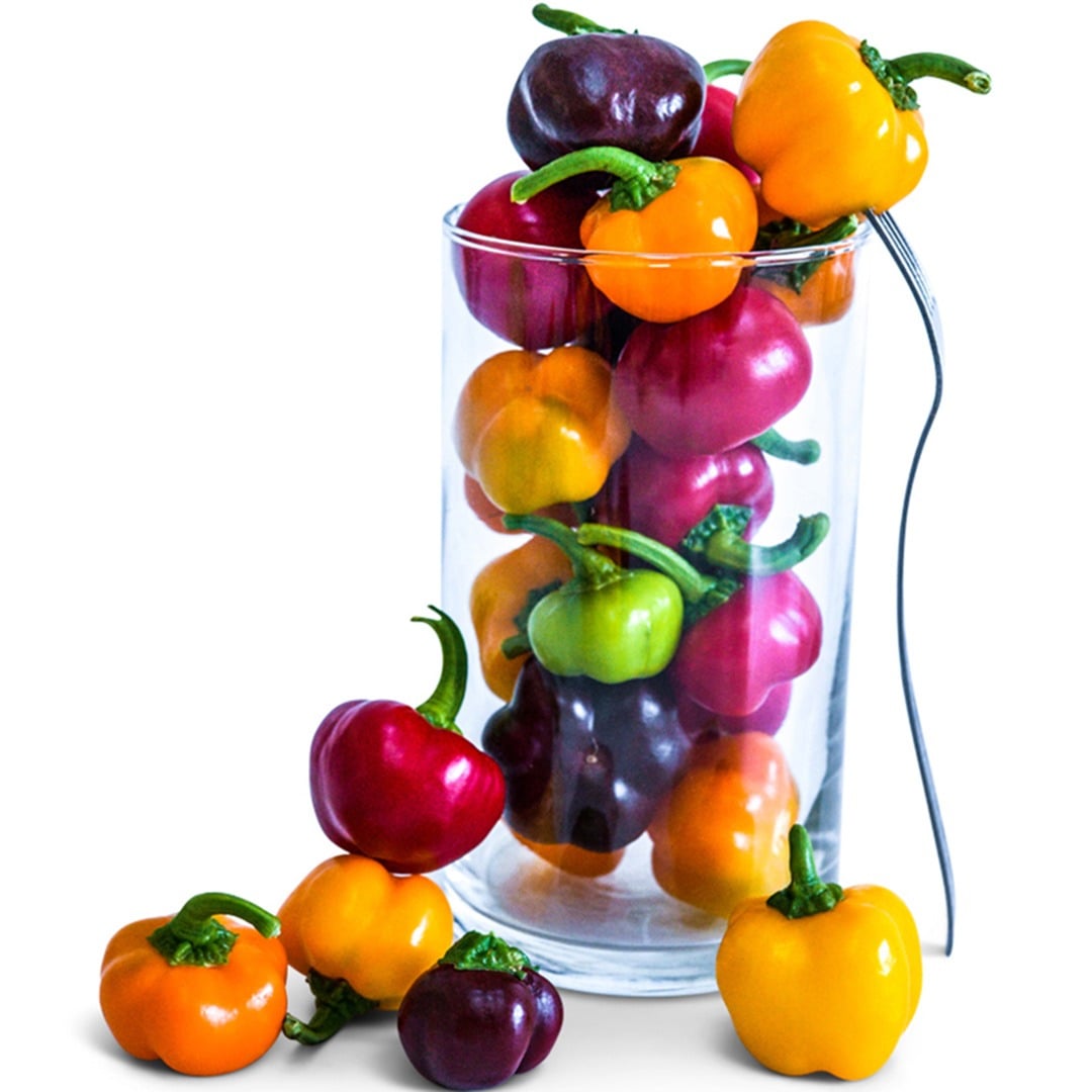 Several Mini Bell Mix Sweet Peppers in a glass vase on a white background.