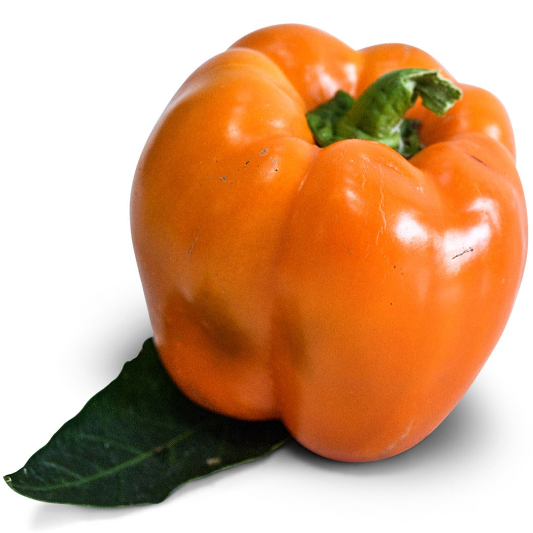 Orange Bell Sweet Peppers on a white background.