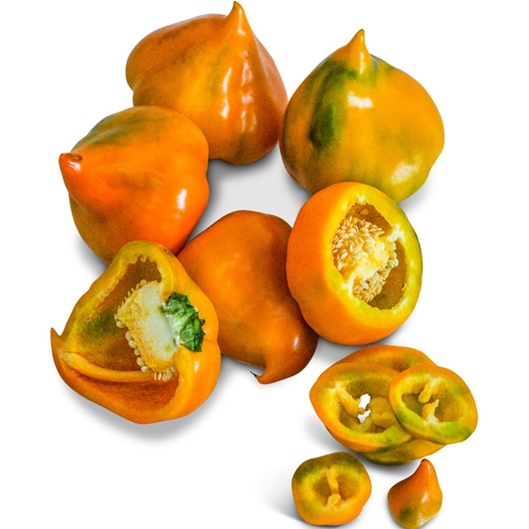 Several Orange Lesya Sweet Peppers on a white background.