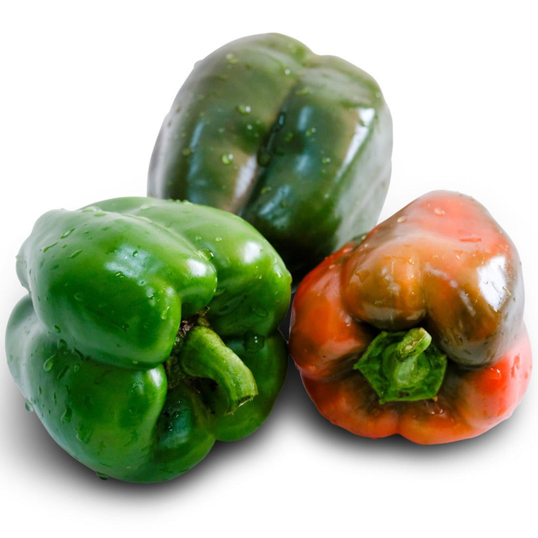 Trio of Ozark Giant Sweet Peppers on a white background.
