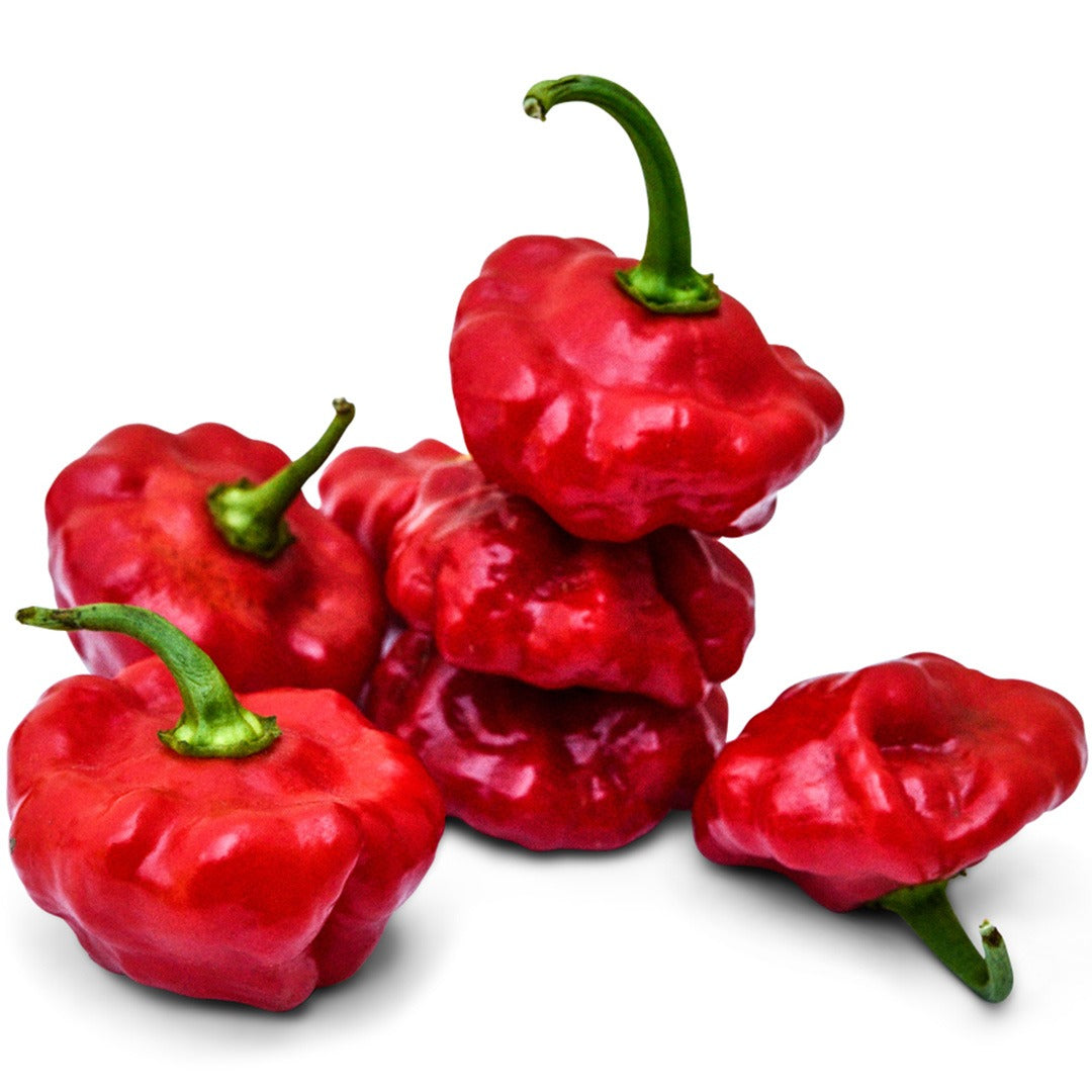 Sweet Bonnet Sweet Peppers on a white background.