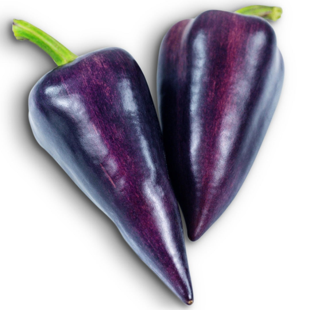 Pair of Violet Sparkle Sweet Peppers on a white background.