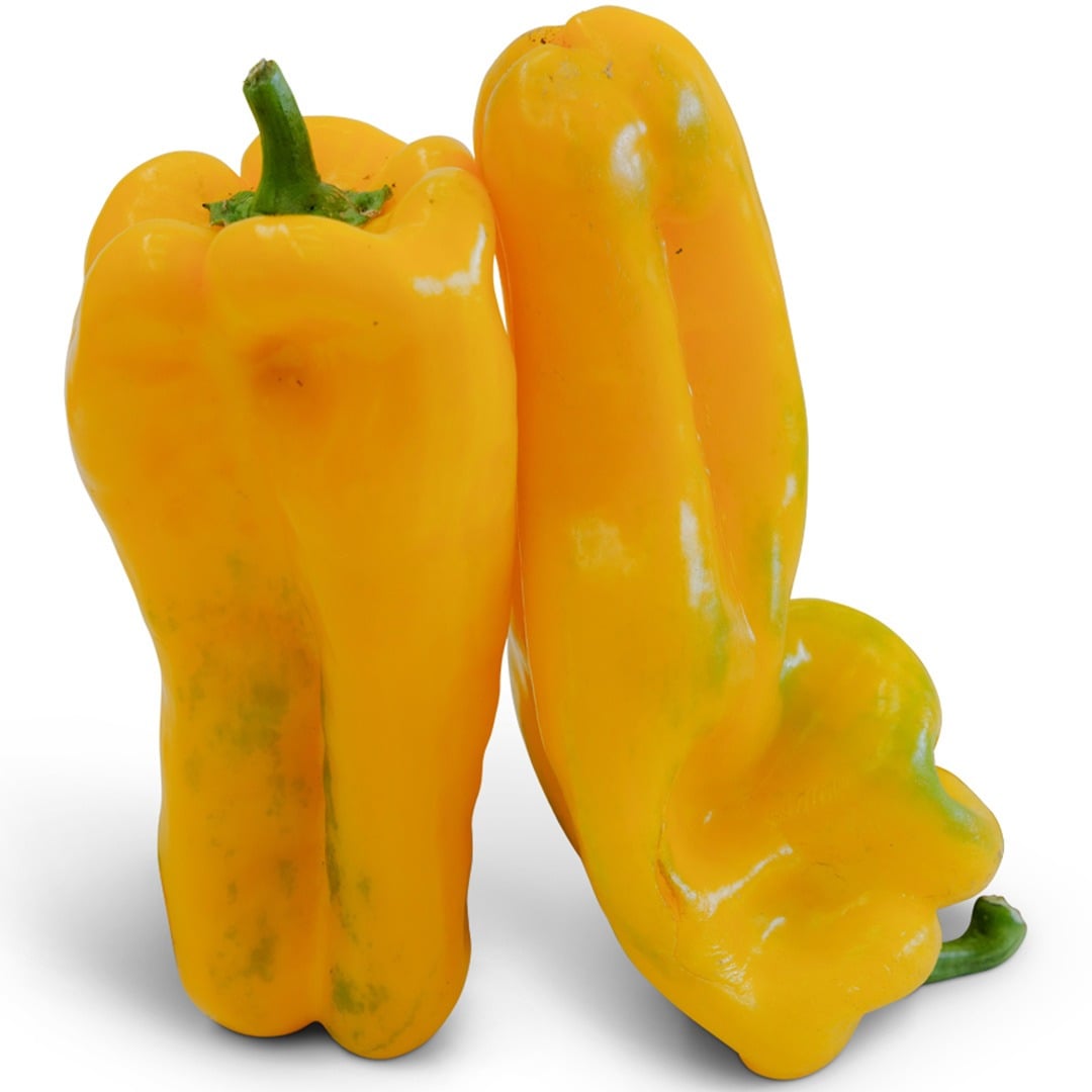 Pair of Yellow Monster Sweet Peppers on a white background.