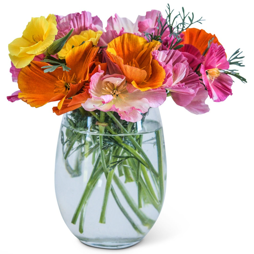 Jelly Beans Mix Poppy in a glass vase on a white background.