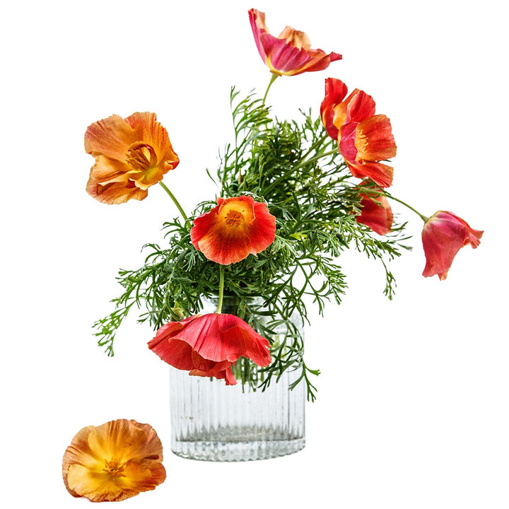 Strawberry Fields poppy flowers and greenery in a glass vase with a white background