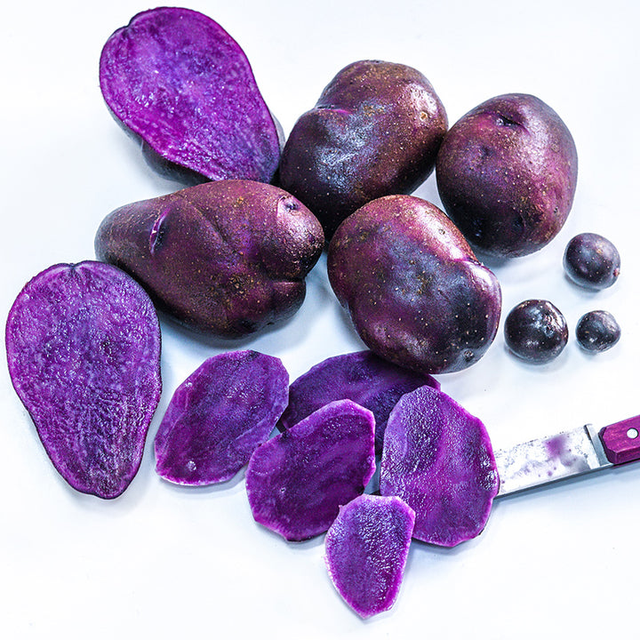Whole and sliced Adirondack Blue Micro Tuber Potatoes with a purple handled knife.