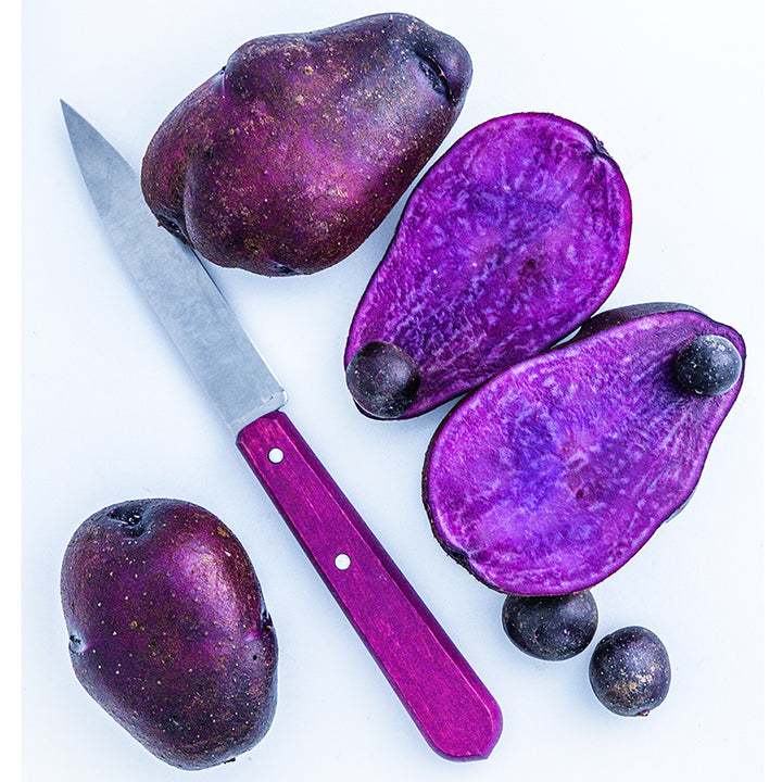 Close-up of Adirondack Blue Micro Tuber Potatoes next to full-sized tubers whole and sliced on a white background.
