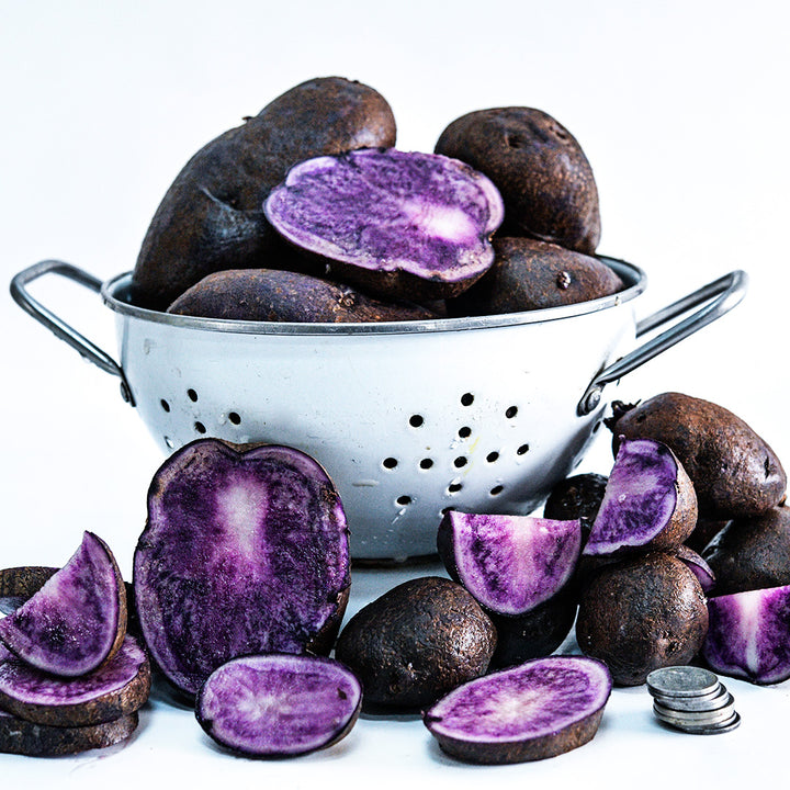 A colander full of Bora Valley mini seed Potatoes surrounded by sliced potatoes.