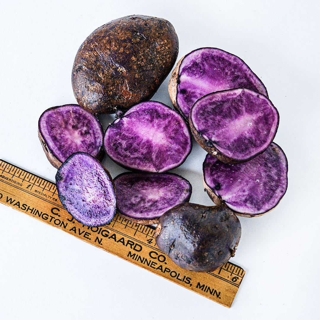 Cut and whole Bora Valley Mini Potatoes with a ruler on a white background.