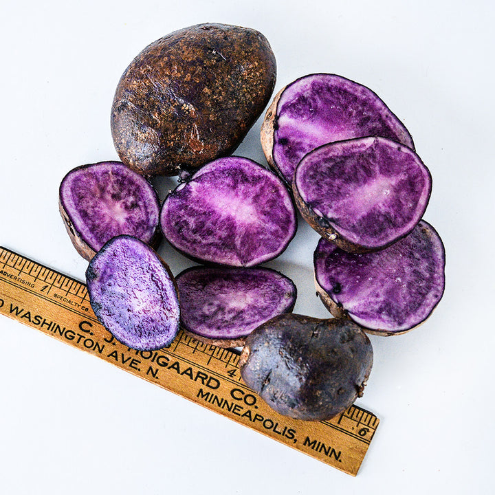 Cut and whole Bora Valley Mini Potatoes with a ruler on a white background.