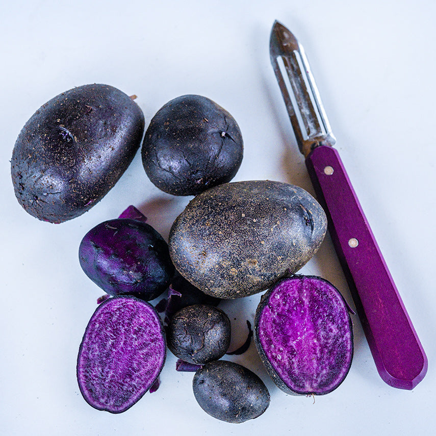 Purple Majesty Potatoes with Micro Tubers next to a peeler on a white background.