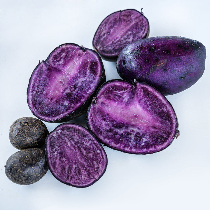 Purple Majesty Potato cut full-size tubers with Micro Potato Tubers on a white background.