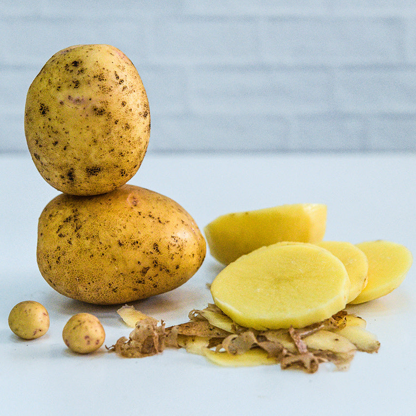 Two mature Yukon Gold Potatoes with slices and Yukon Gold Micro Tuber Potatoes on a light background.