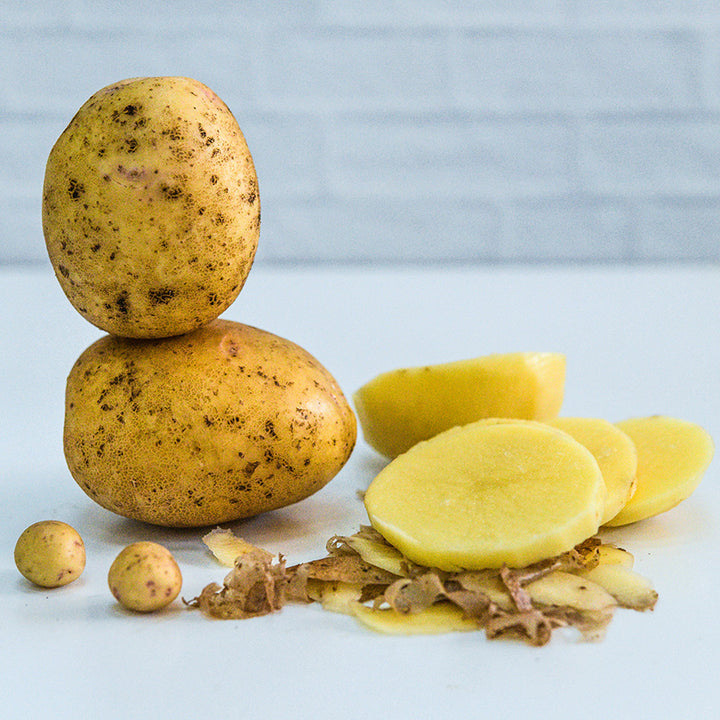 Two mature Yukon Gold Potatoes with slices and Yukon Gold Micro Tuber Potatoes on a light background.