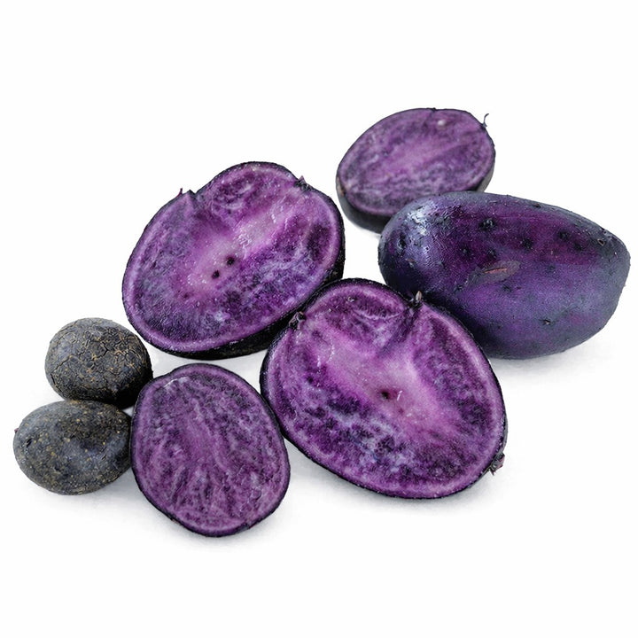 Potato Tubers, Purple Majesty