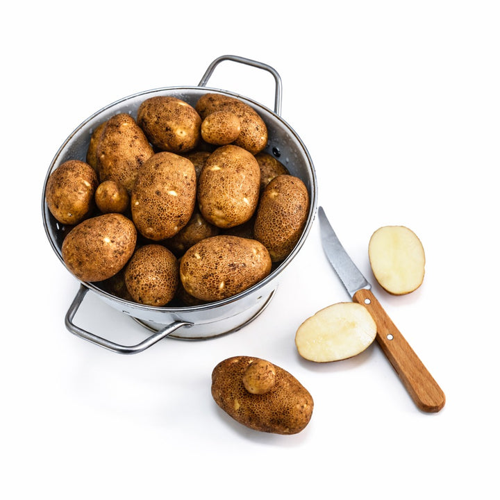 Overhead view of Russet Burbank Potatoes grown from Micro Tubers in a colander and sliced with a knife.