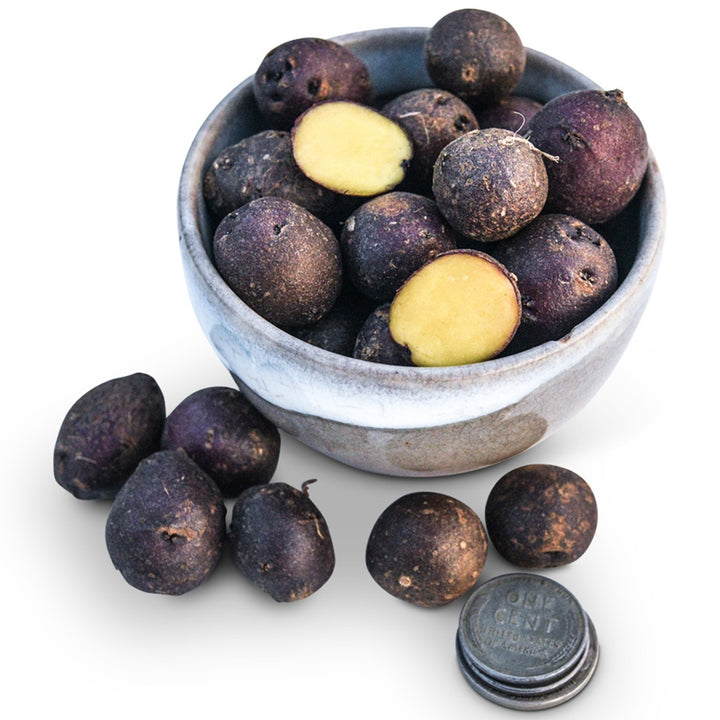 Huckleberry Gold Potato Tubers in a clay bowl on a white background.