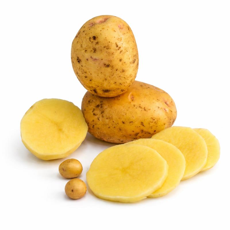 Several cut and whole Yukon Gold Micro Tuber Potatoes on a white background.