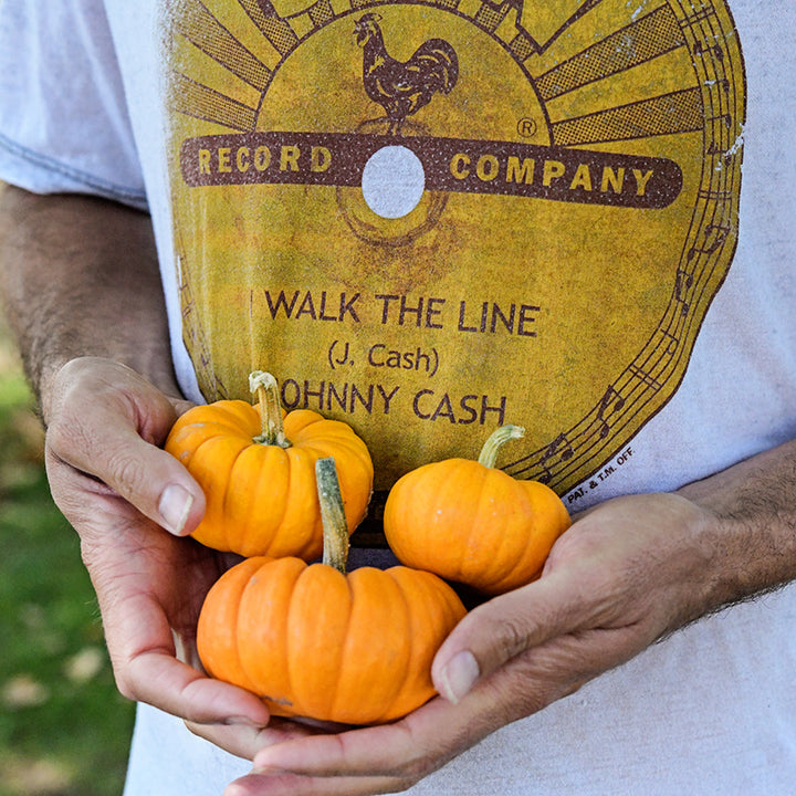 Man holding three Jack Be Little Pumpkins with a Johnny Cash T-shirt as backdrop.
