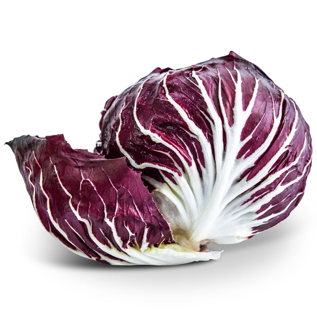 Chioggia 506 Radicchio on a white background.