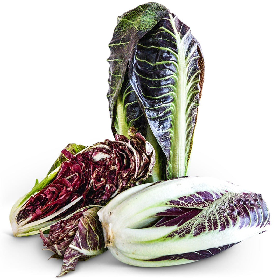 Trio of Treviso Scorze Radicchio on a white background.