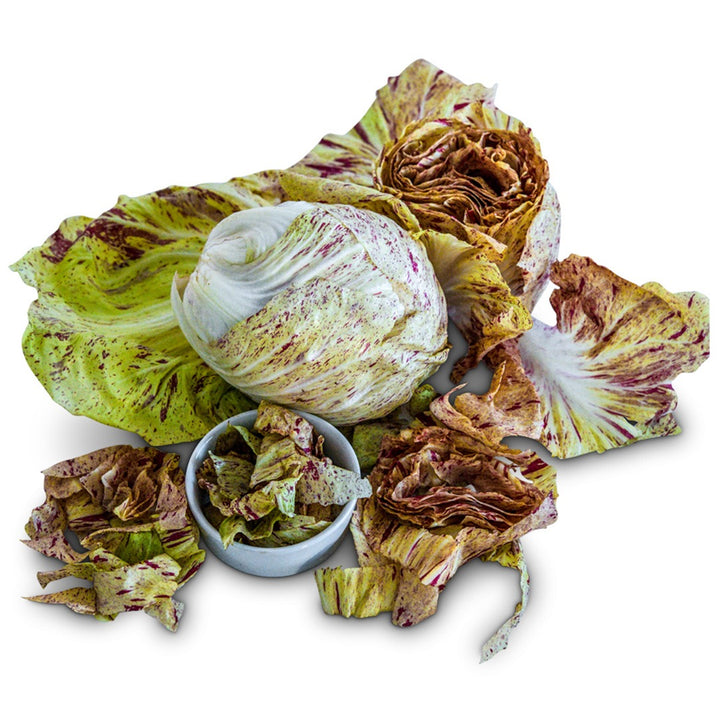 Radicchio Seeds, Variegated of Lusia