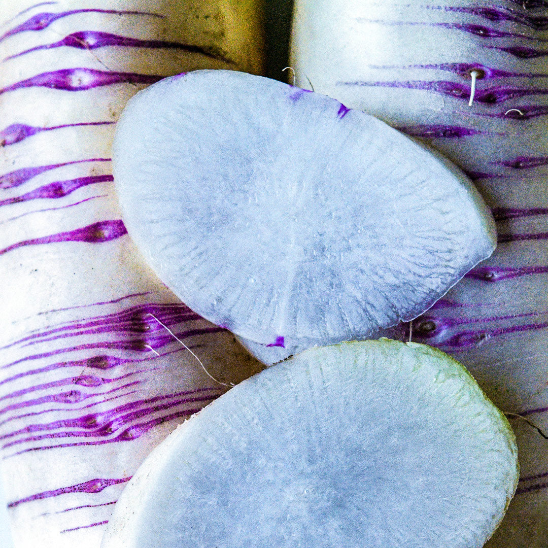 A micro close-up view showcasing the purple stripes on the skin of a couple of Akasuji Radishes with slices.