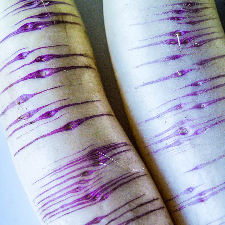 A close-up macro view of Akasuji Radishes.