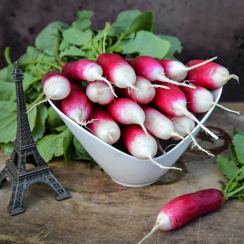French Breakfast Radishes in bowl with a miniature Eiffel Tower.